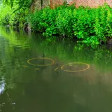 Submerged bicycle in a canal by a lush, ivy-covered brick wall under a grey sky.